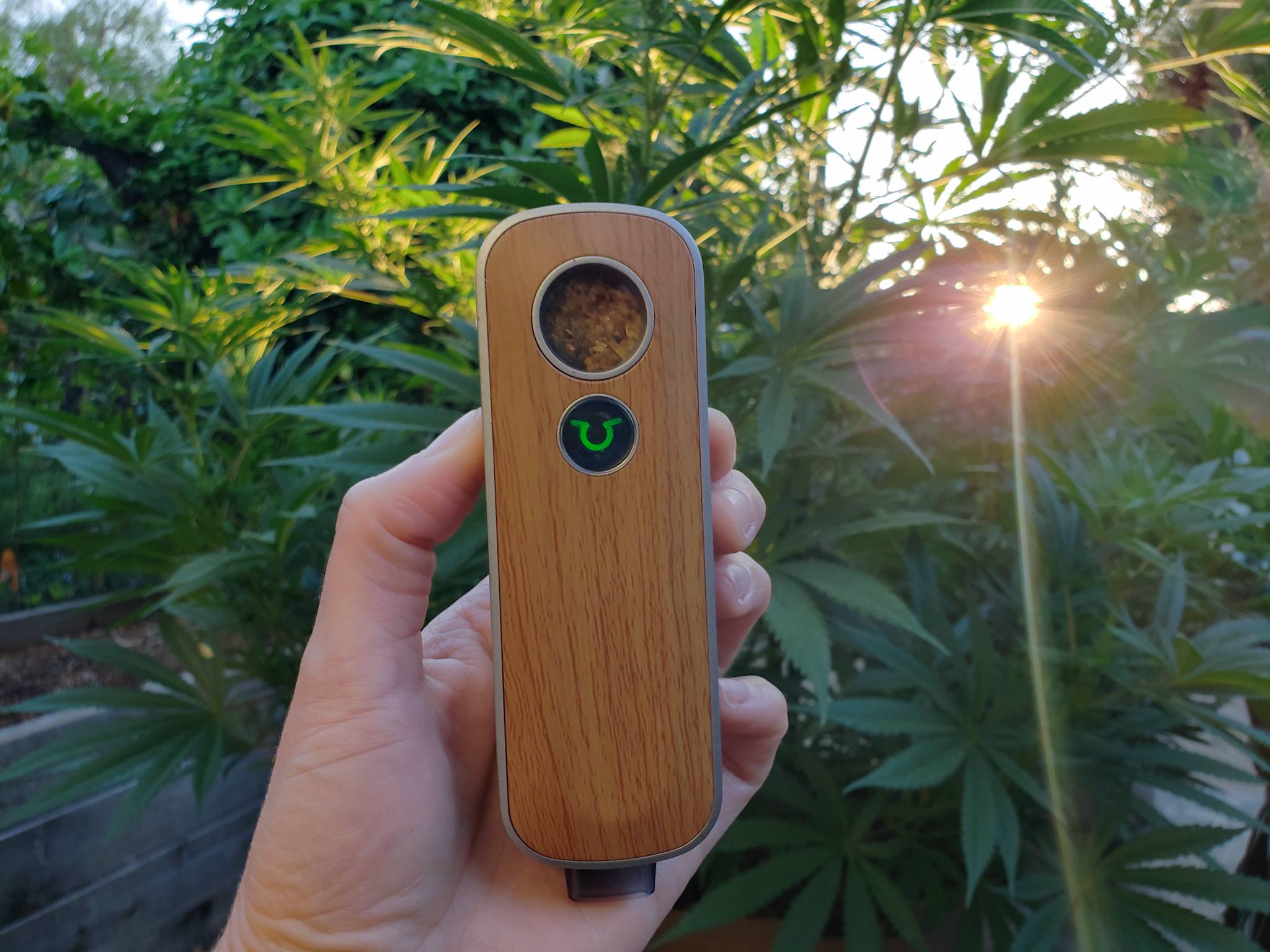 Firefly 2+ Healthy | To the Cloud Vapor Store