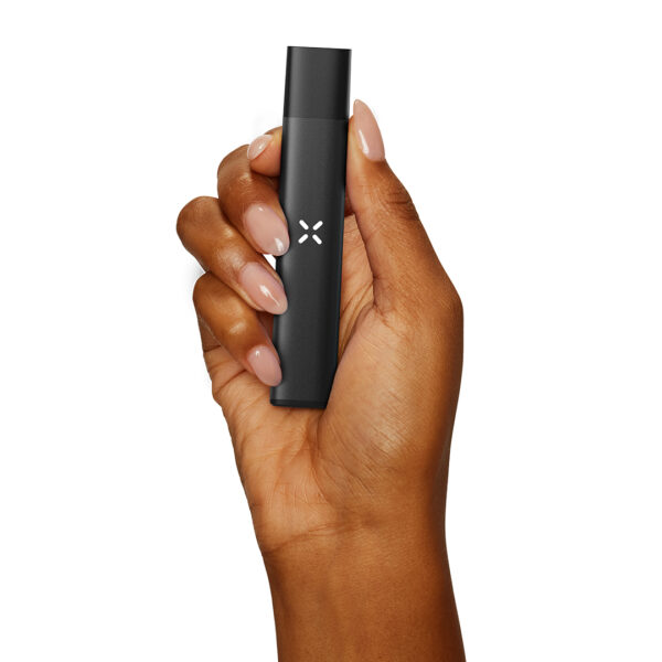 portable era go vape
